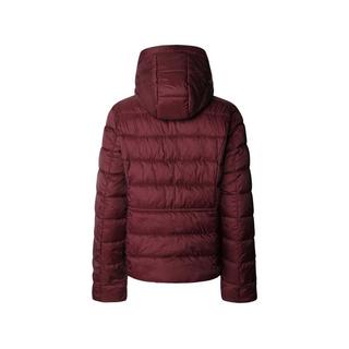 Pepe Jeans London Kapuzen Pufferjacke mit Kordelzug Taille  