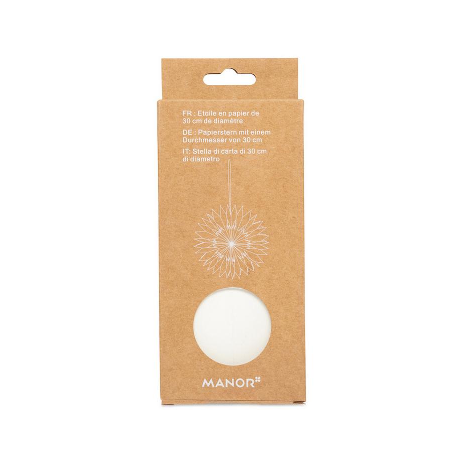 Manor Décoration de Noël Snowflake 