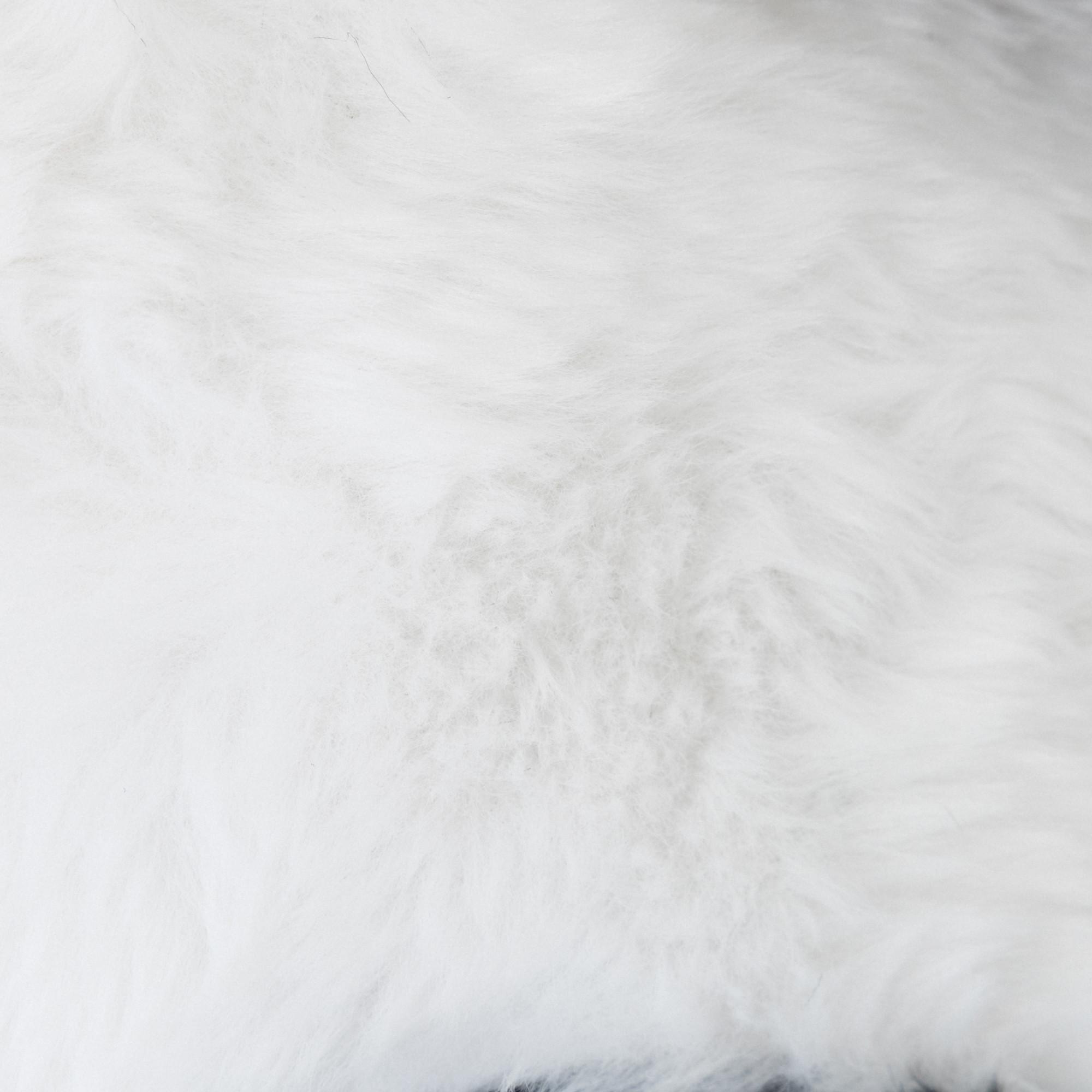 Shanghai Bear Hugs  Panda seduta 