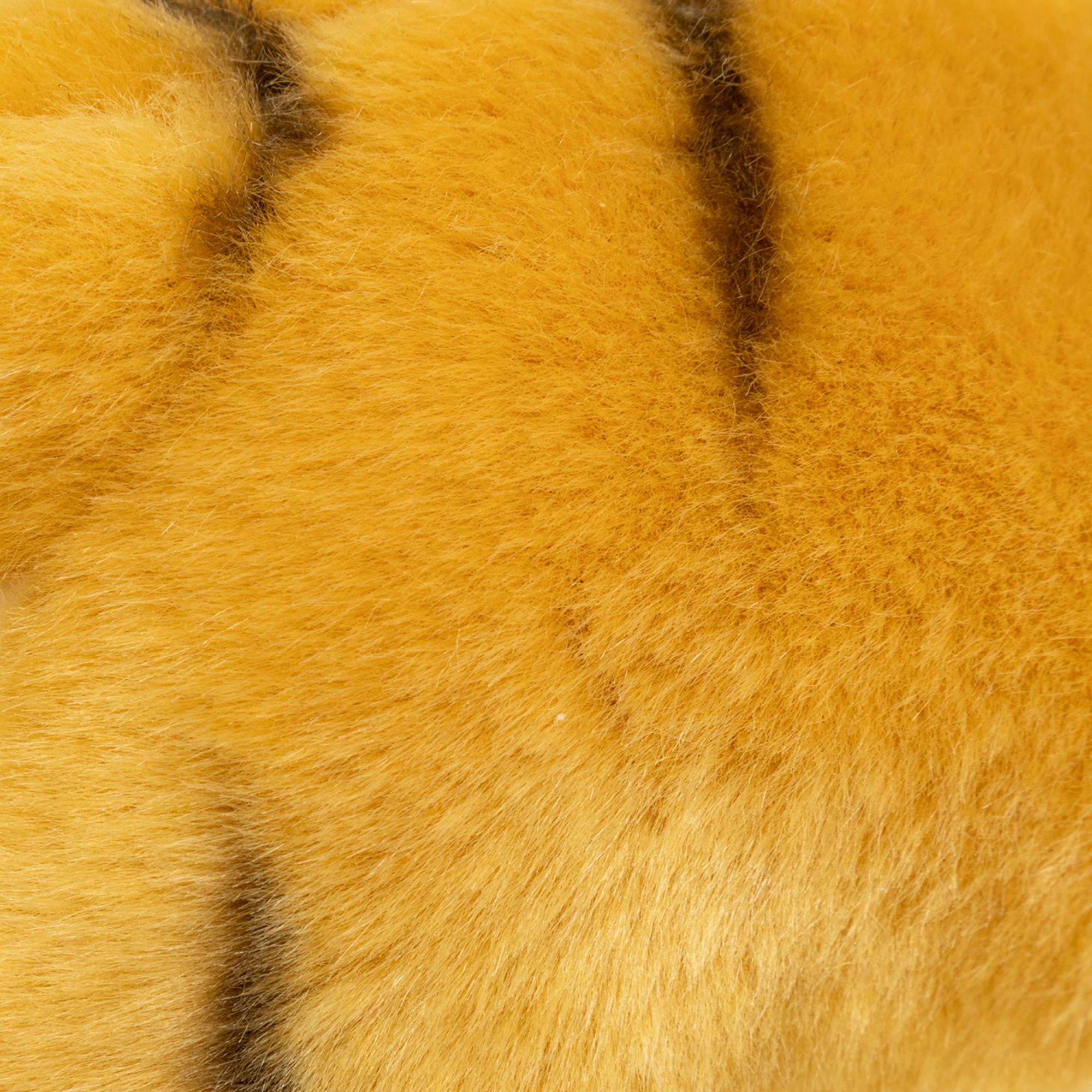 Leosco  Cucciolo di tigre 