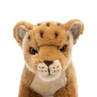 Leosco  Cucciolo di leonessa 