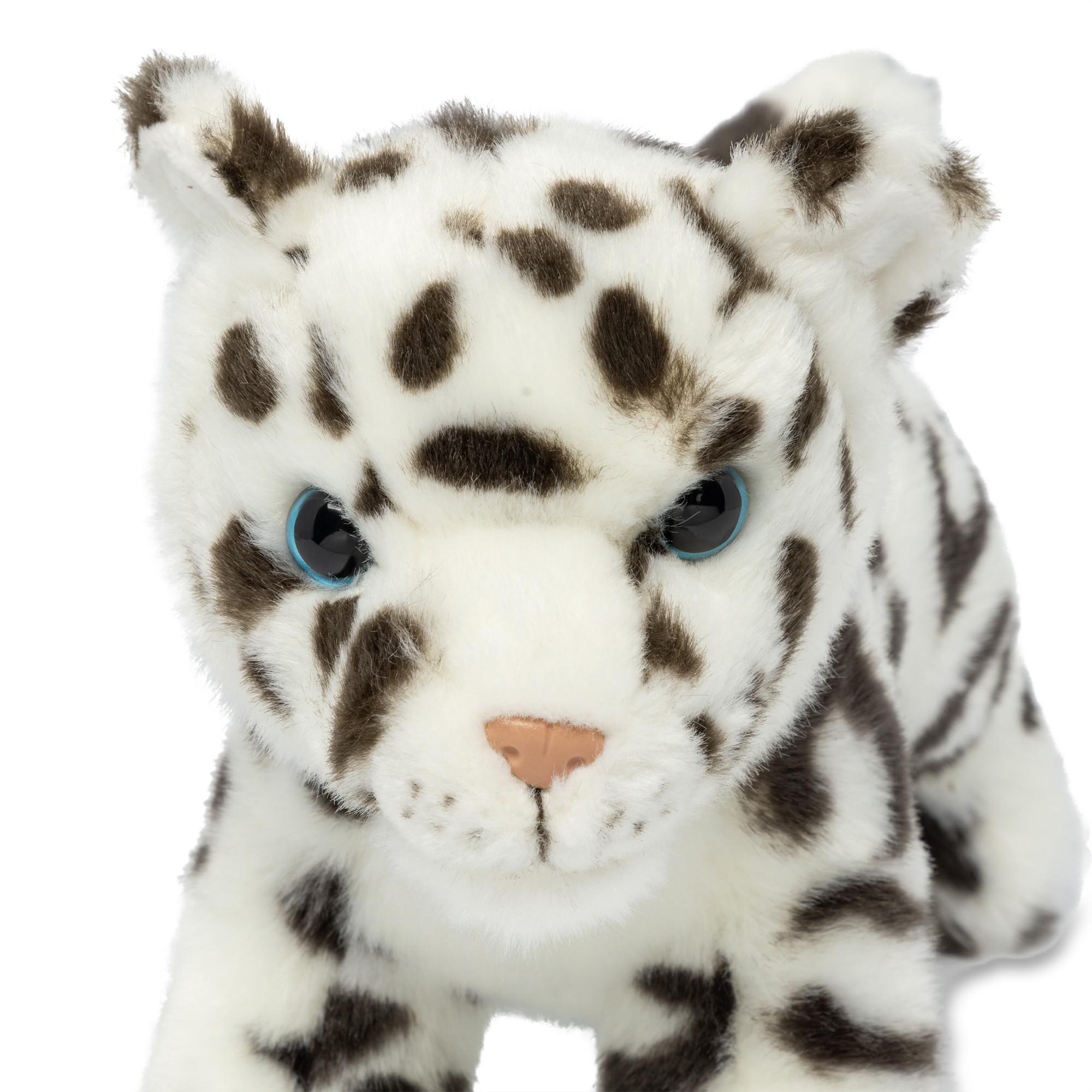 Leosco  Cucciolo di leopardo delle nevi 