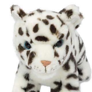 Leosco  Cucciolo di leopardo delle nevi 