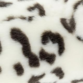 Leosco  Cucciolo di leopardo delle nevi 