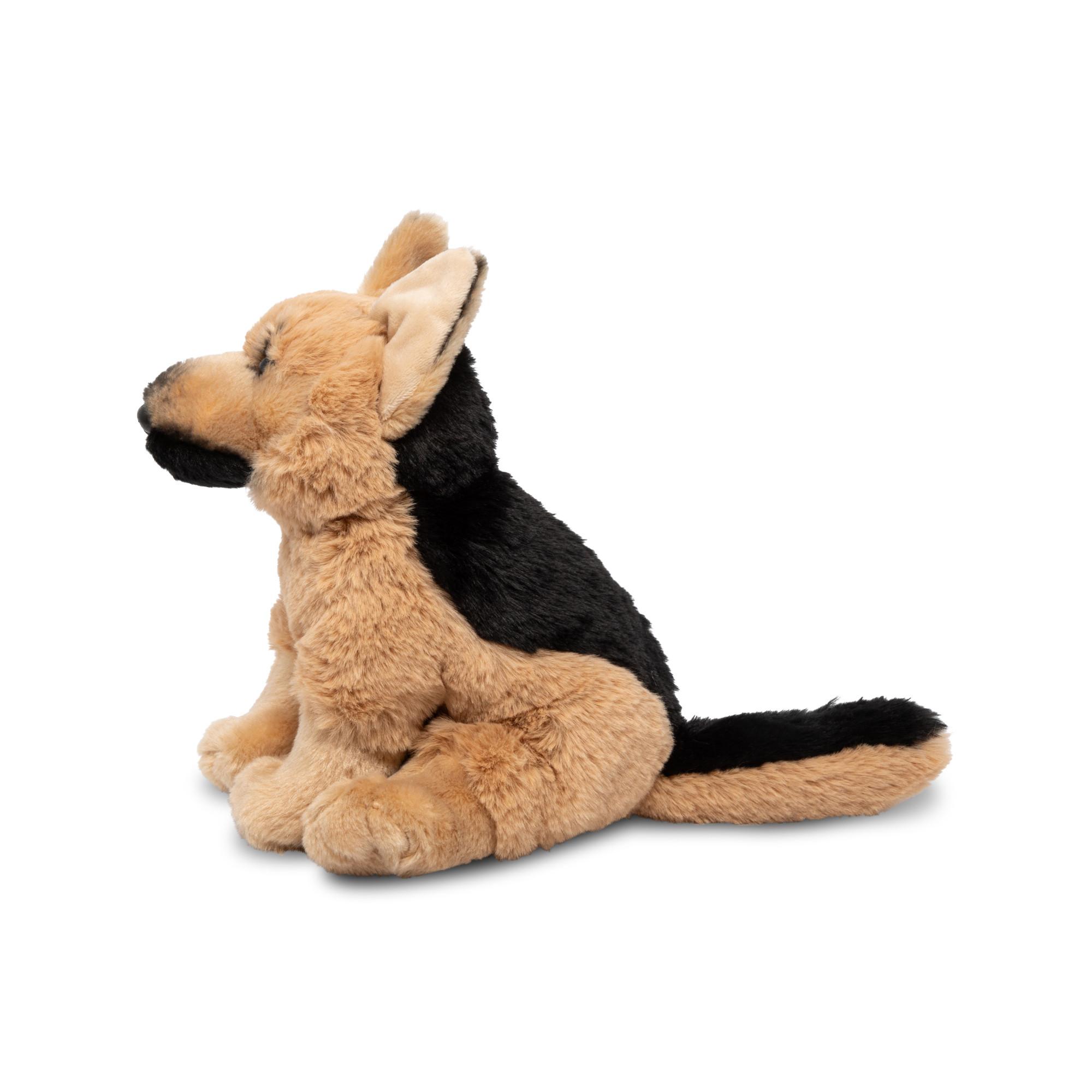 Leosco  Cane da pastore 