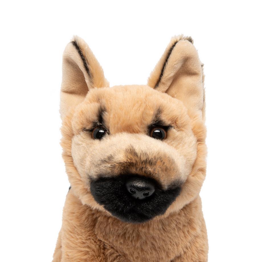 Leosco  Cane da pastore 