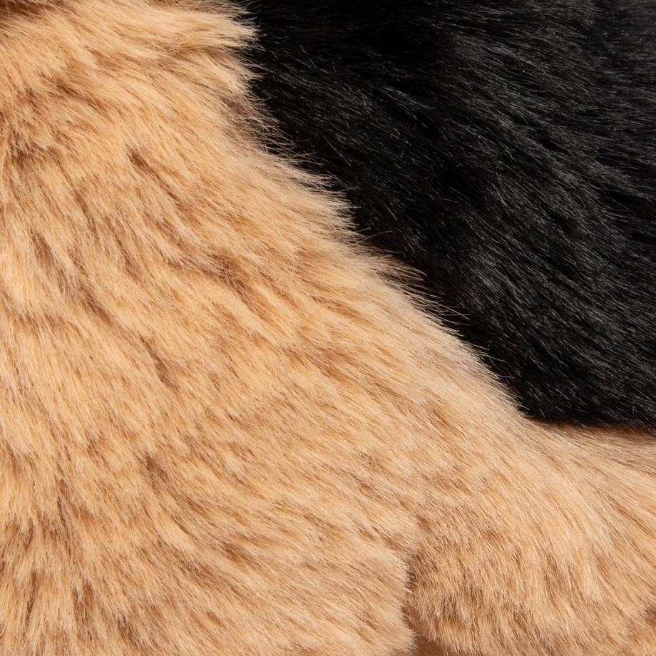 Leosco  Cane da pastore 