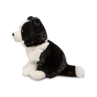 Leosco  Border Collie 