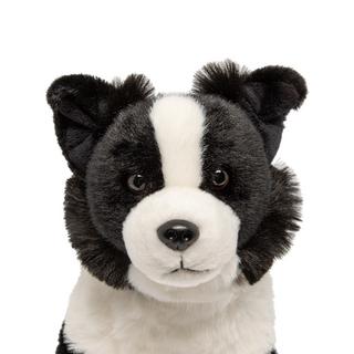 Leosco  Border Collie 