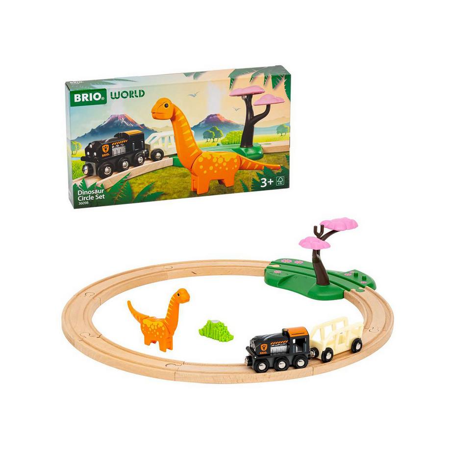 Dinosaur Circle Set