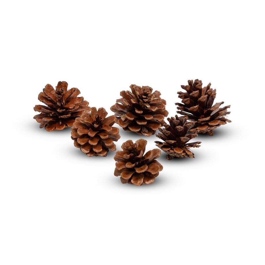 Kit de décorations d'arbres de Noël
