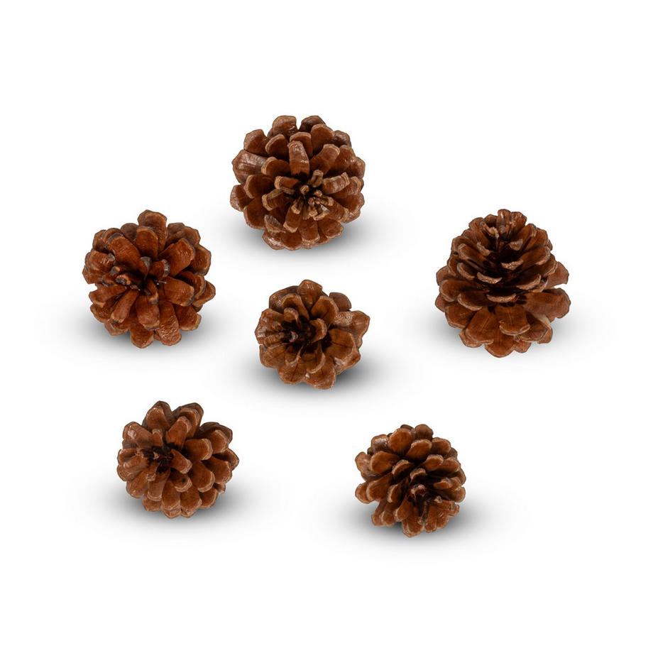 Manor Home Kit de décorations d'arbres de Noël Tannenzapfen 7-8 cm 