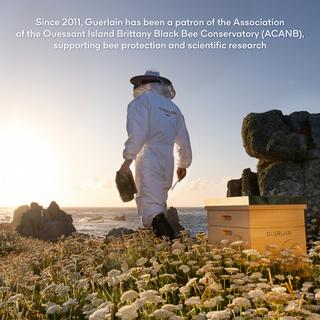 Guerlain  Abeille Royale Rituel Jeunesse Du Cuir Chevelu Et Du Cheveu 