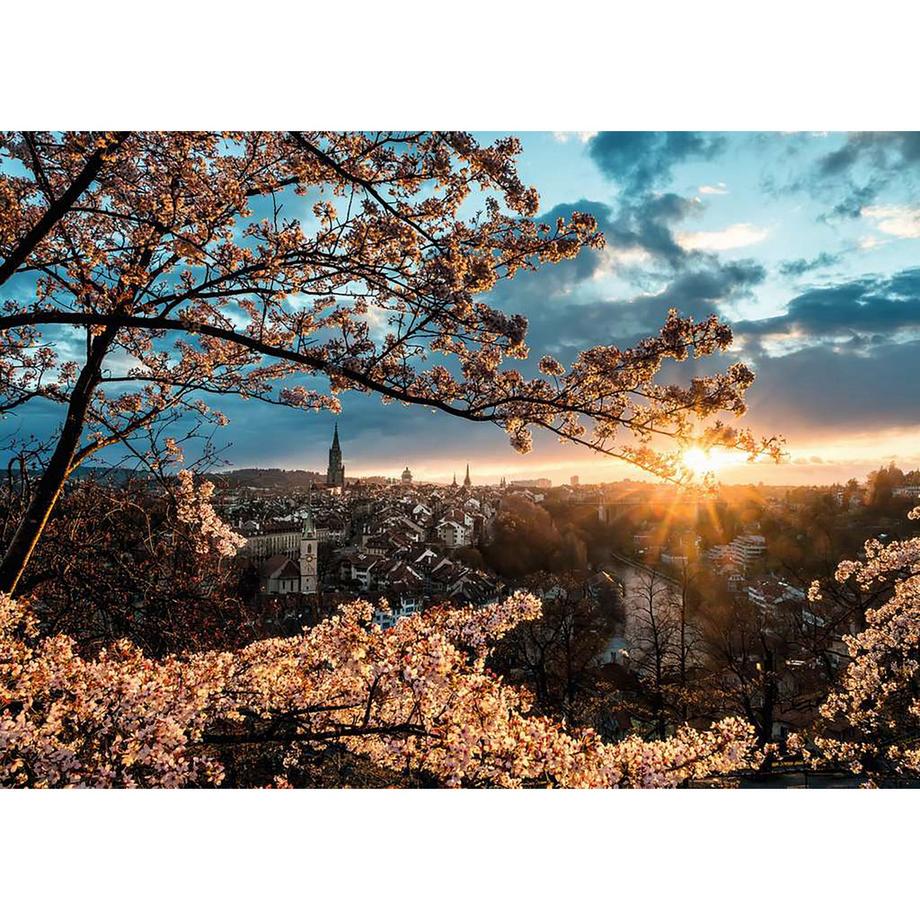 Ravensburger  1000tlg. Kirschblüten in Bern 