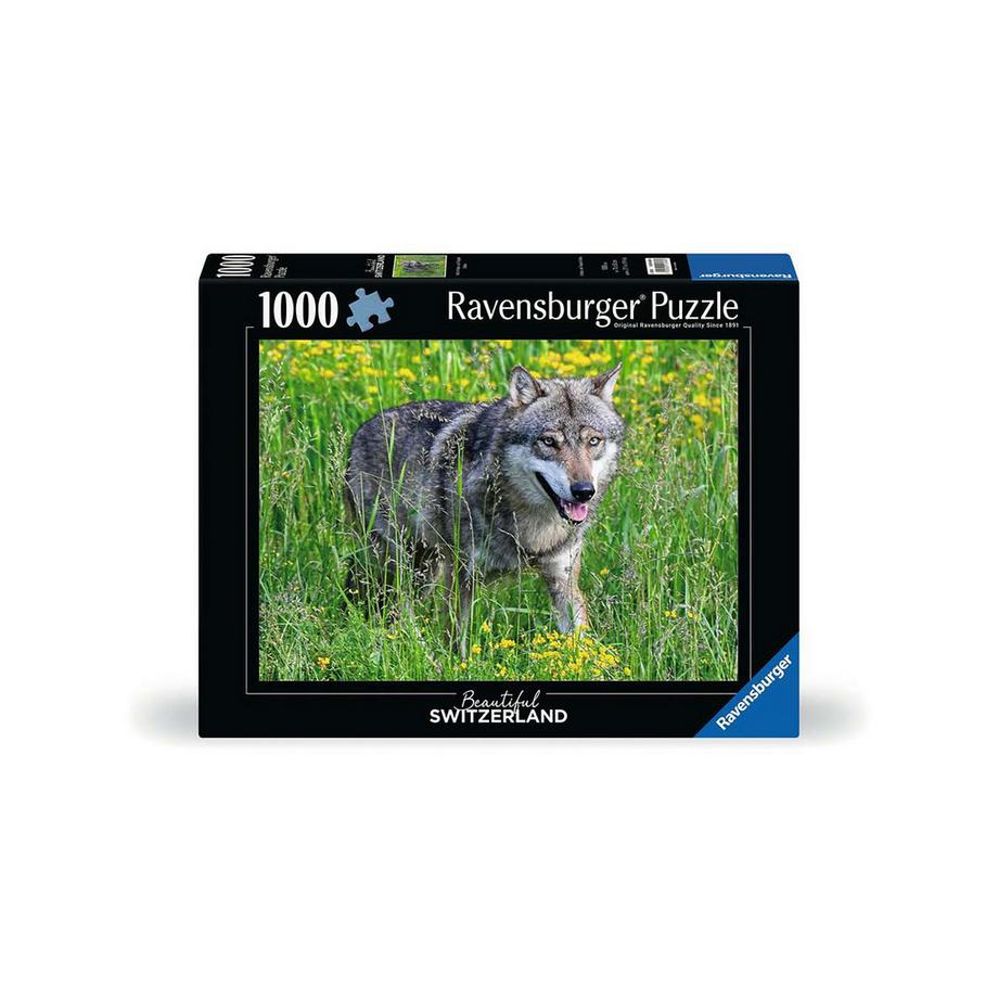 Le loup dans le Natur- und Tierpark Goldau, 1000 pièces