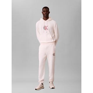 Calvin Klein Jeans Hoodie Logo Print  