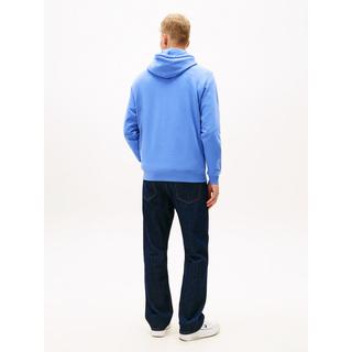 TOMMY JEANS Regular Entry DNA Play Hoodie  