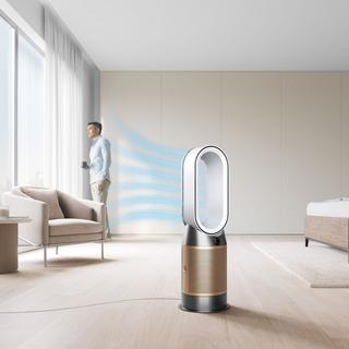 dyson Purificatore d'aria Purifier Hot+Cool HP2 De Nox 