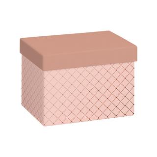 STEWO INTERNATIONAL Boîte cadeau Min 