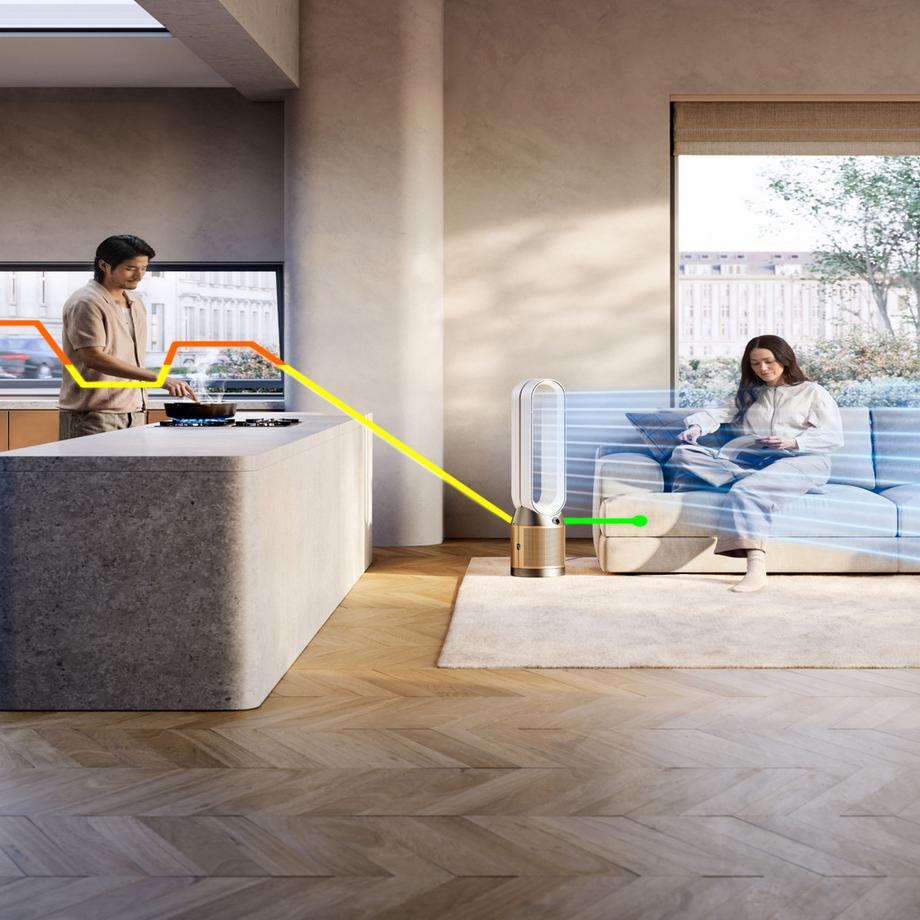 dyson Purificatore d'aria Purifier Cool PC2 De-Nox 