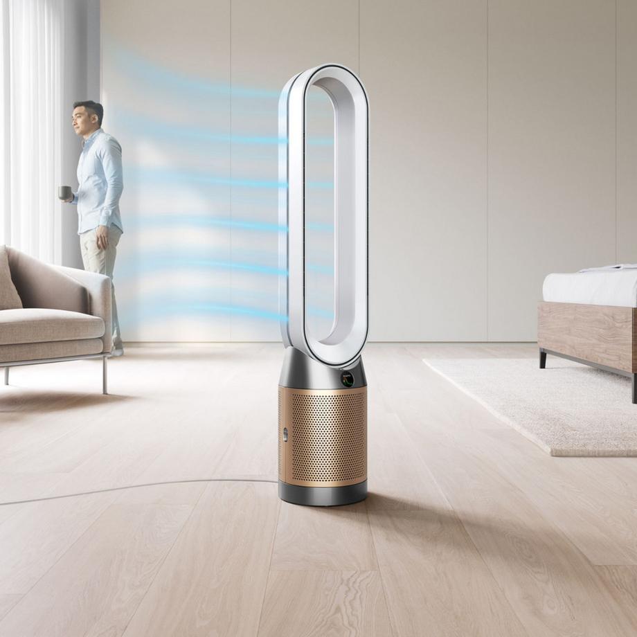 dyson Purificatore d'aria Purifier Cool PC2 De-Nox 