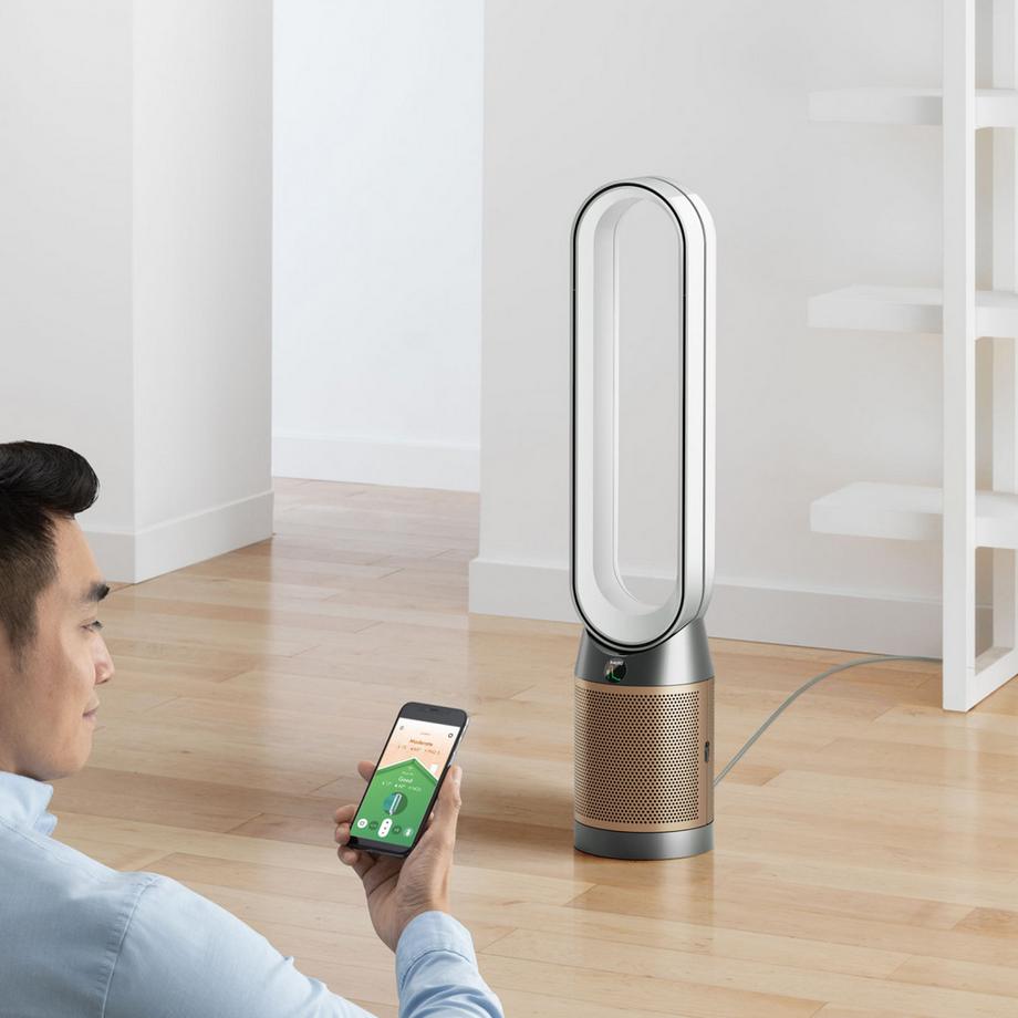 dyson Purificatore d'aria Purifier Cool PC2 De-Nox 