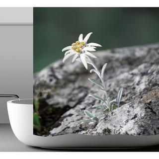 My Bath Duschvorhang  Alpina 