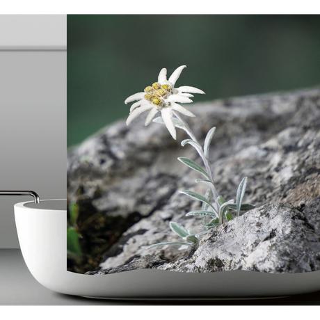 My Bath Duschvorhang  Alpina 