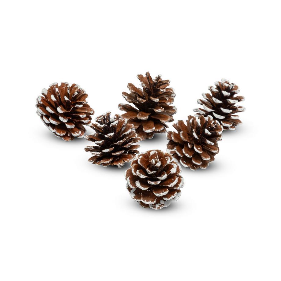 Kit de décorations d'arbres de Noël