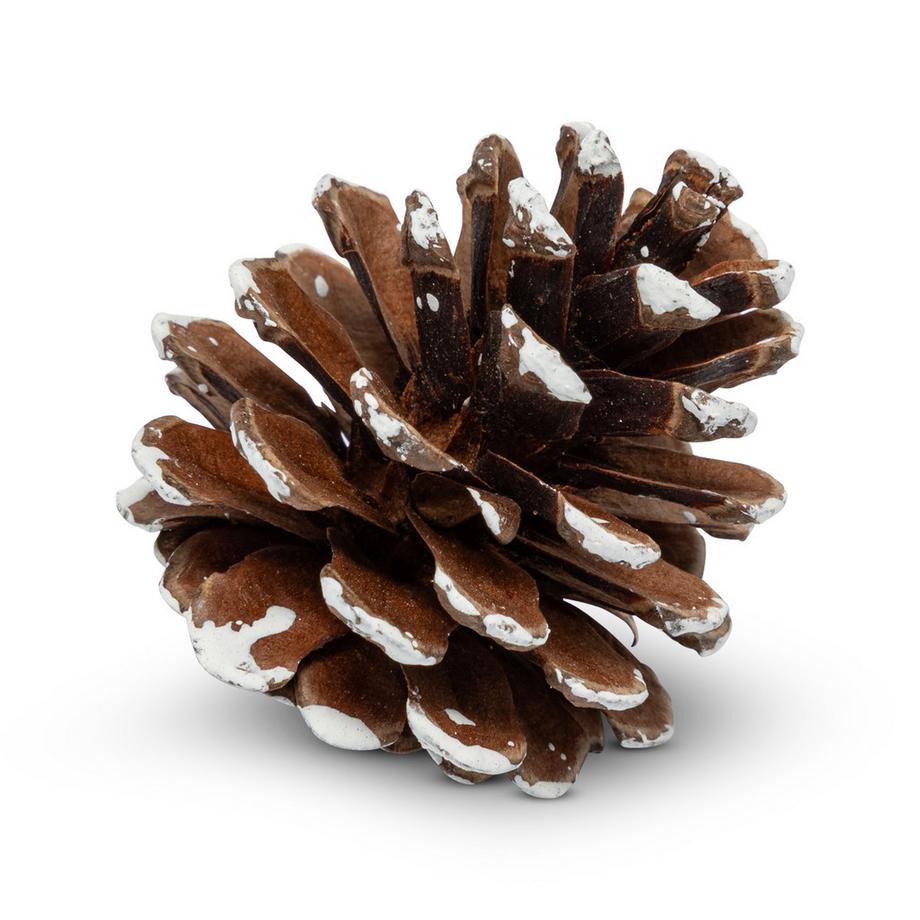 Manor Home Kit de décorations d'arbres de Noël Tannenzapfen 3-4 cm 