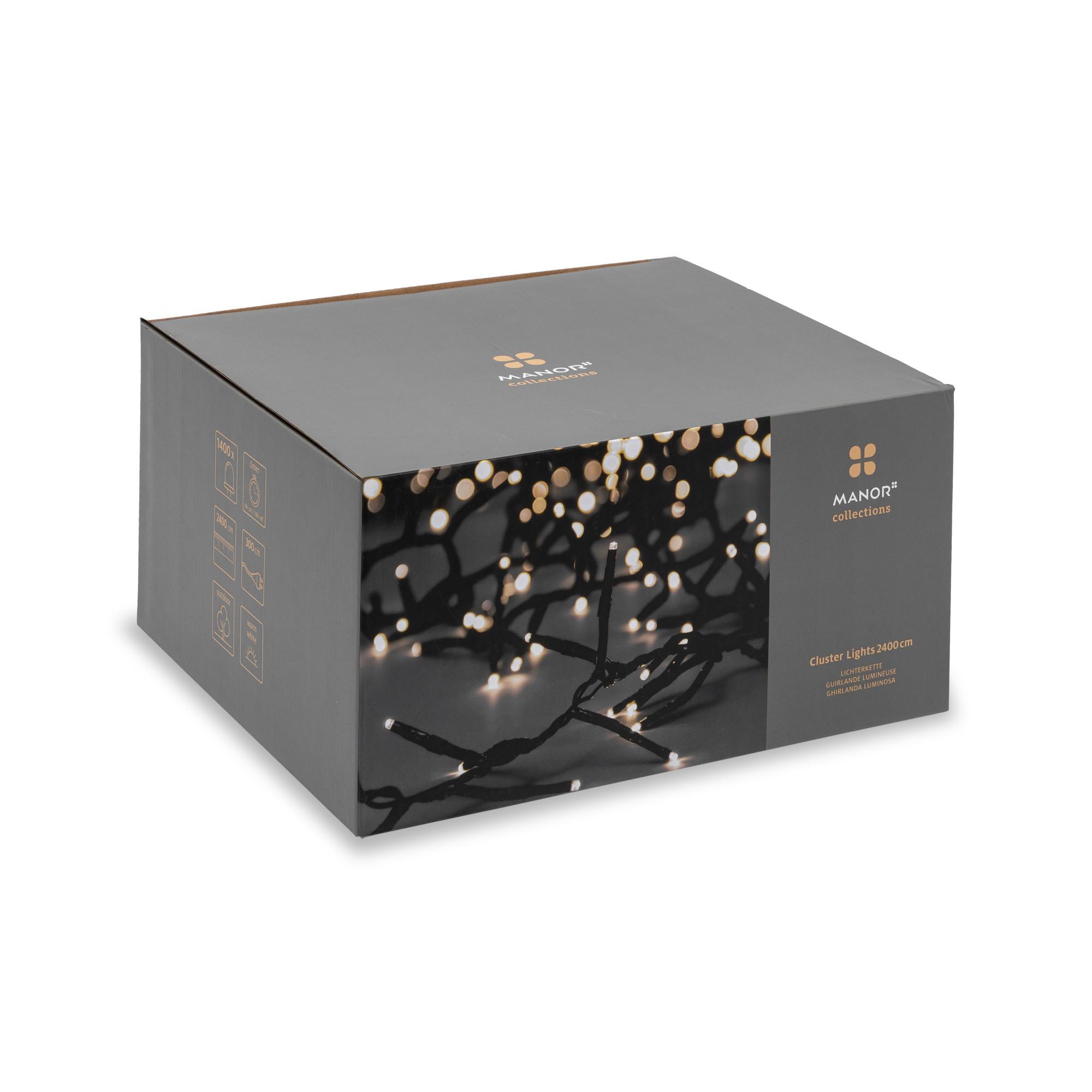 Manor Guirlande lumineuse String Lights Cluster 