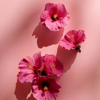 NIVEA  Set regalo Rose Love 