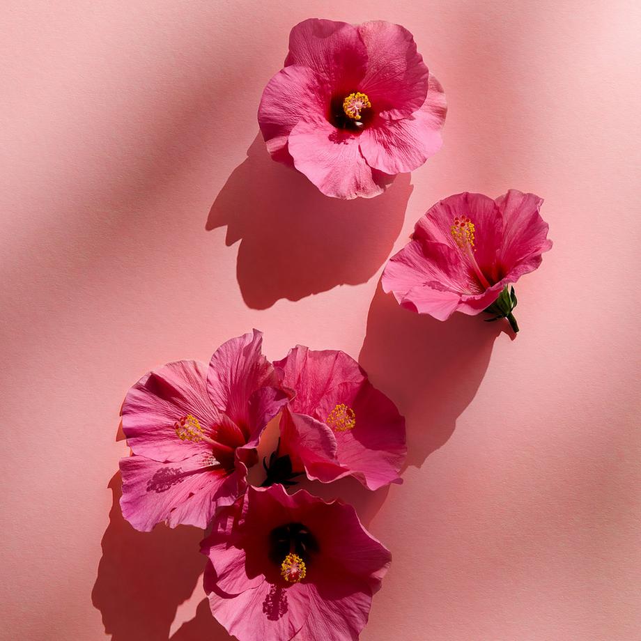 NIVEA  Set regalo Rose Love 