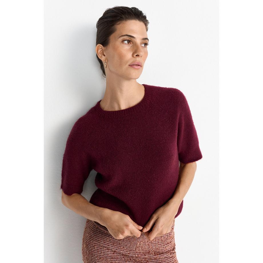 Rich & Royal Pull Court Manches Fines Mailles  