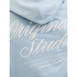 JACK & JONES Jornorrebro Typo Back Hoodie  