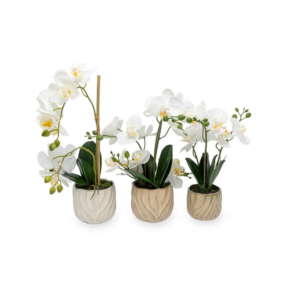Manor Kunstblume Orchidee im Topf 