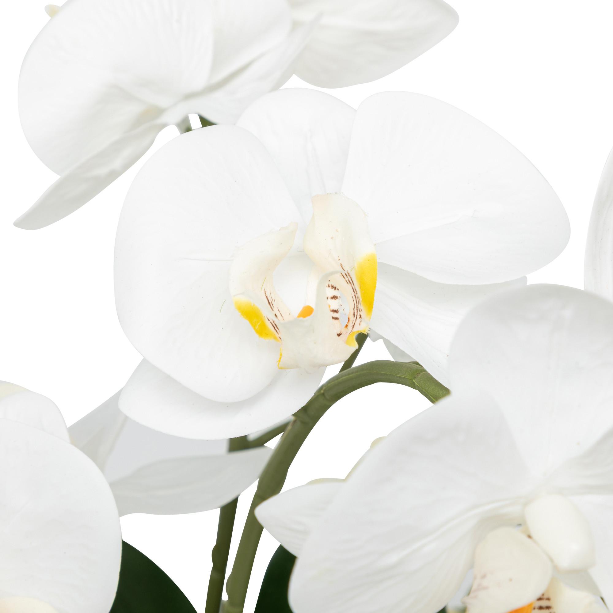 Manor Fleur artificielle Orchidee im Topf 