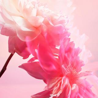 CHARLOTTE TILBURY  Pillow Talk Love Frequency Kit - Coffret De Parfum 