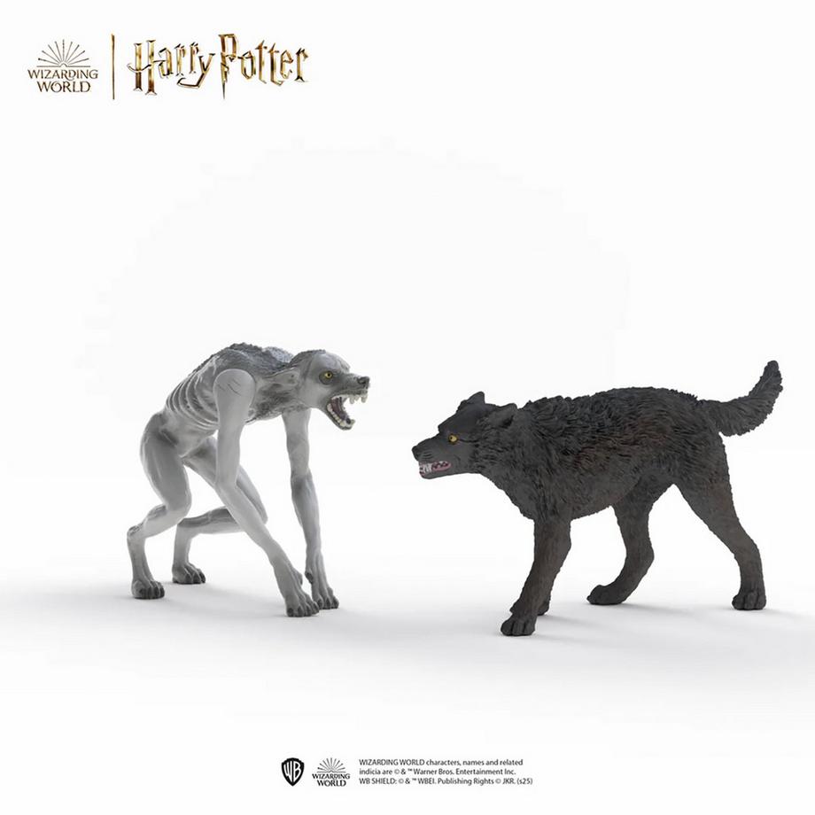 14906 Loup-garou contre Animagus