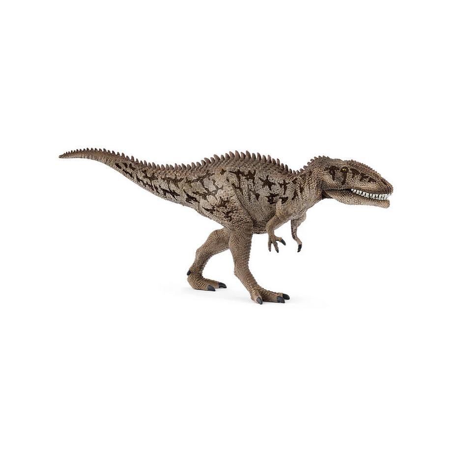 15048 Carcharodontosaurus