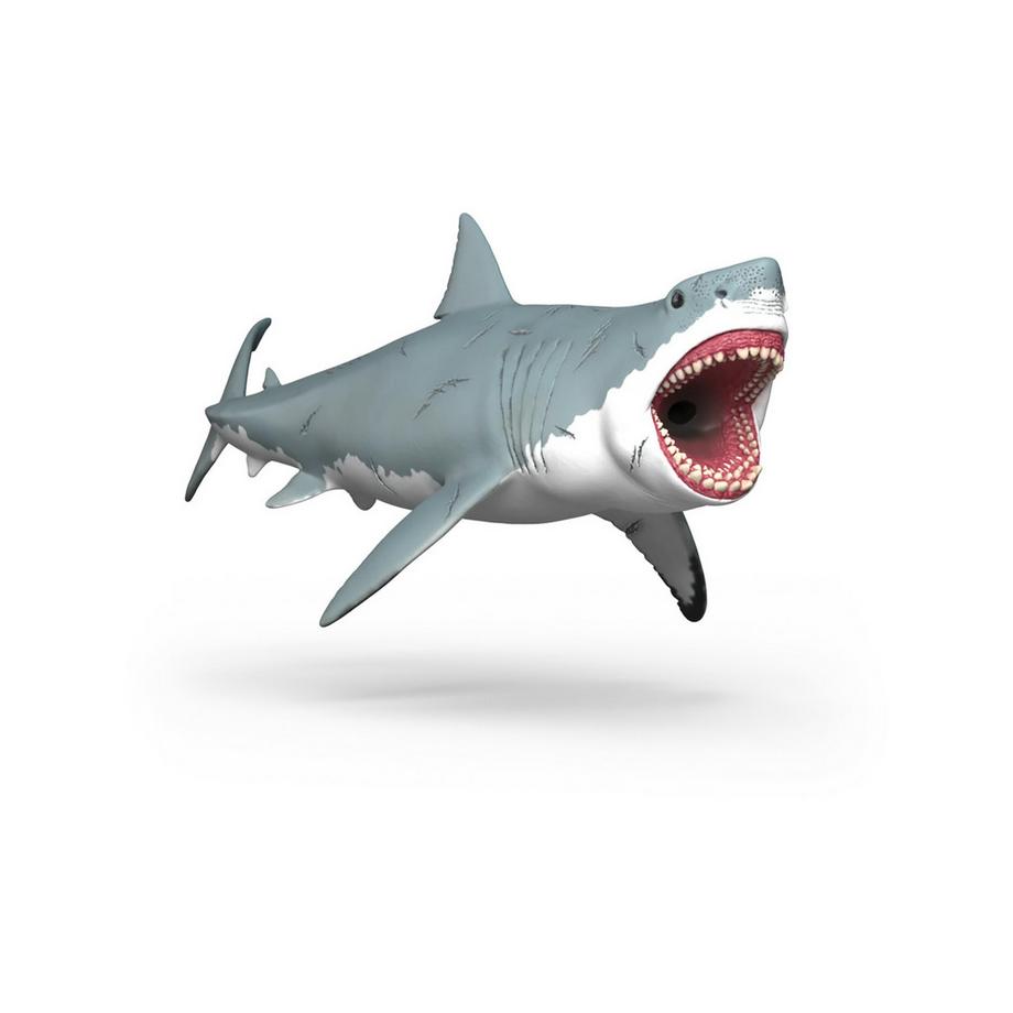 15055 Megalodonte