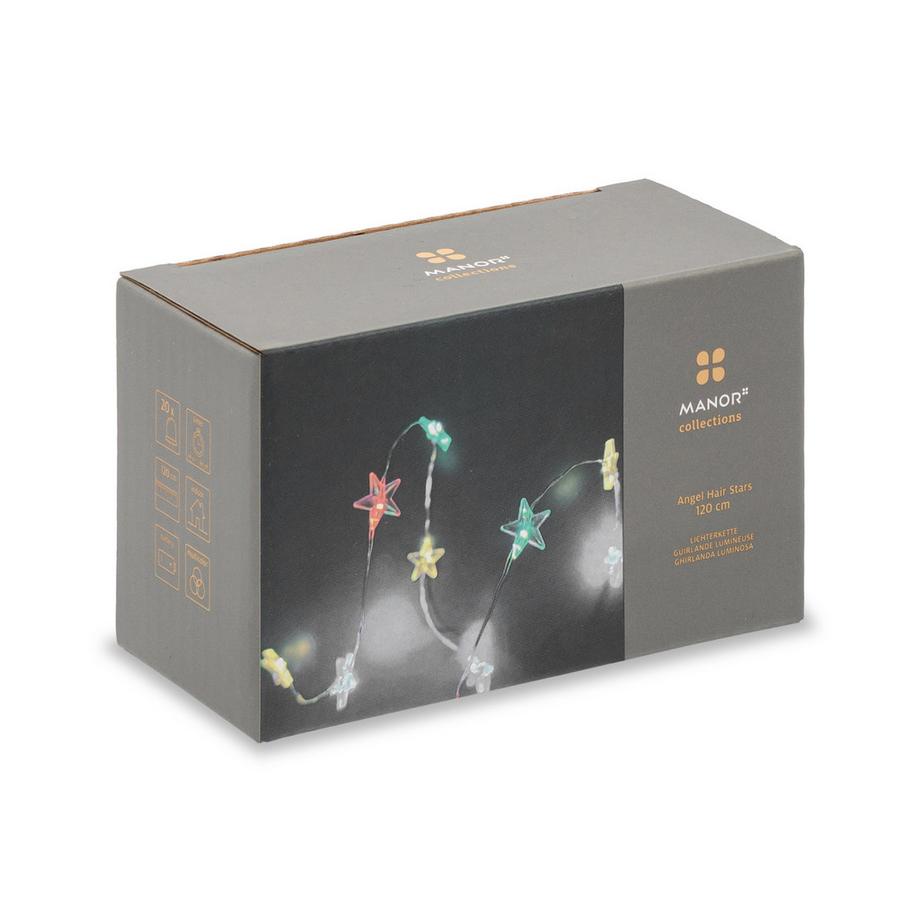 Manor Catene luminose decorative LED, indoor Arcturus 