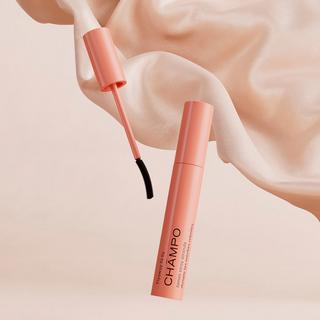 CHAMPO  Flyaway fix - Fixation des cheveux rebelles 