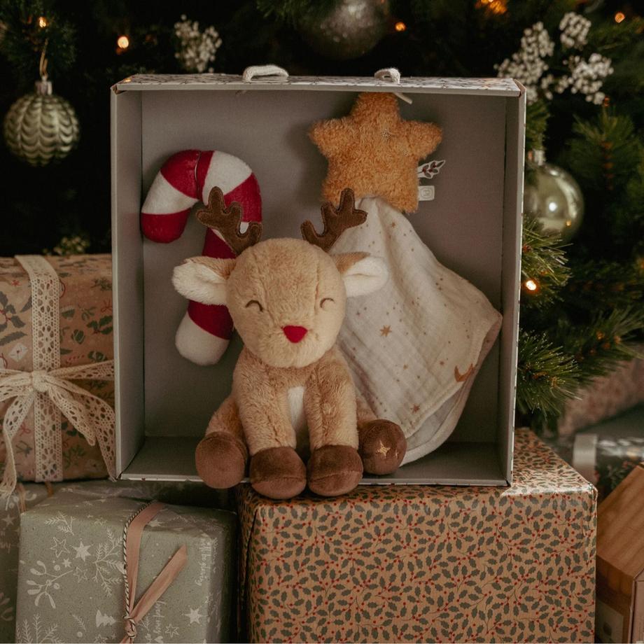 Little Dutch  Coffret cadeau 