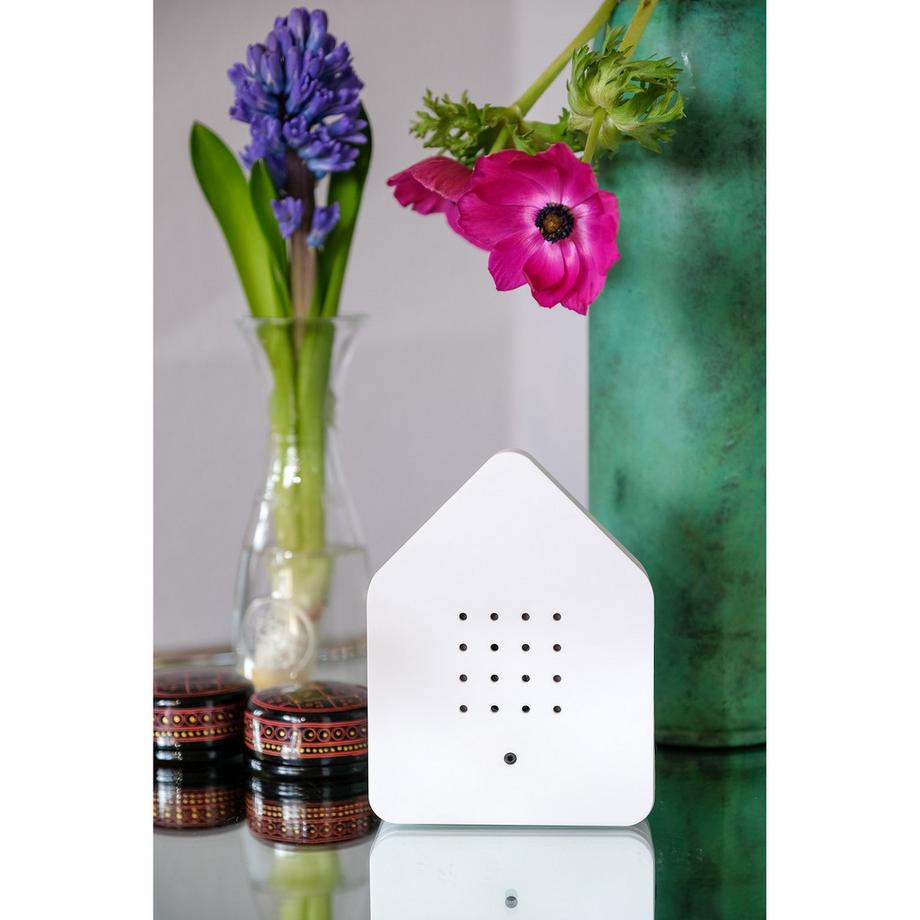 Relaxound Boîte à gazouillis Zwitscherbox 