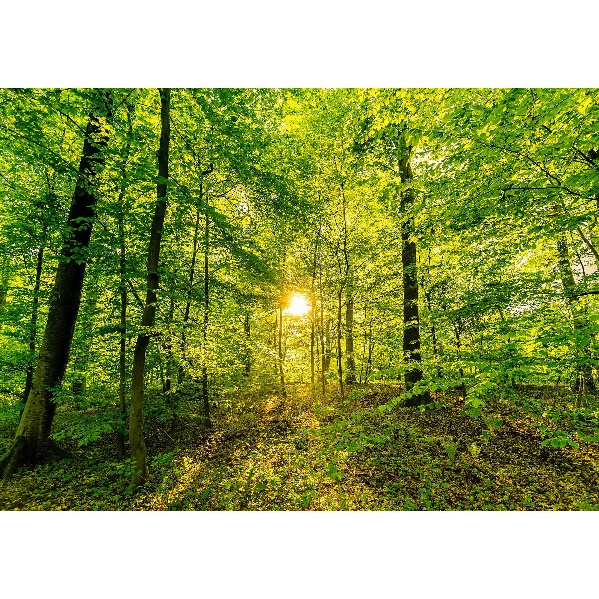 Relaxound Zwitscherbox Zwitscherbox 