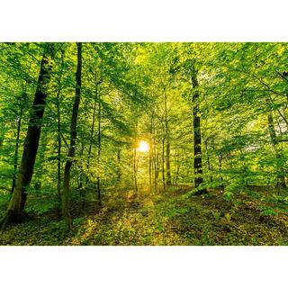 Relaxound Zwitscherbox Zwitscherbox 