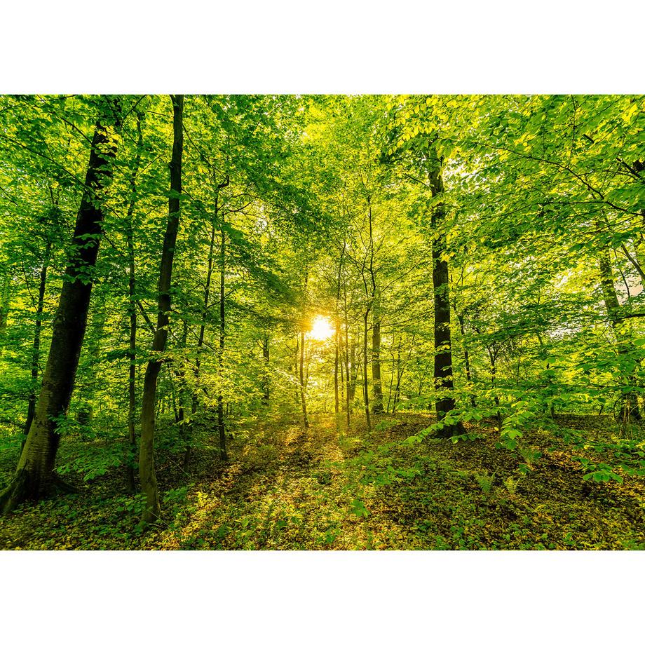 Relaxound Boîte à gazouillis Zwitscherbox 