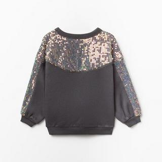 Sfera  Sweatshirt 