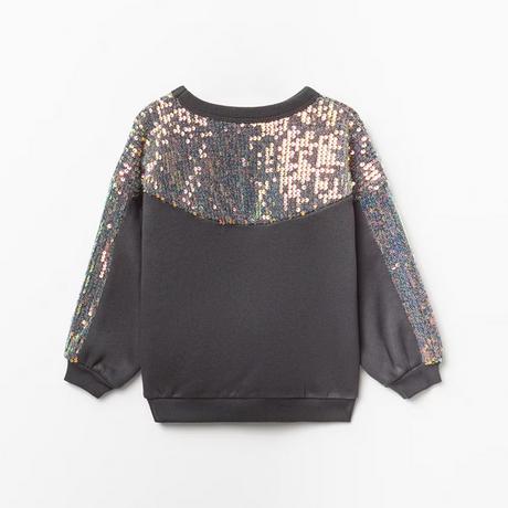 Sfera  Sweatshirt 